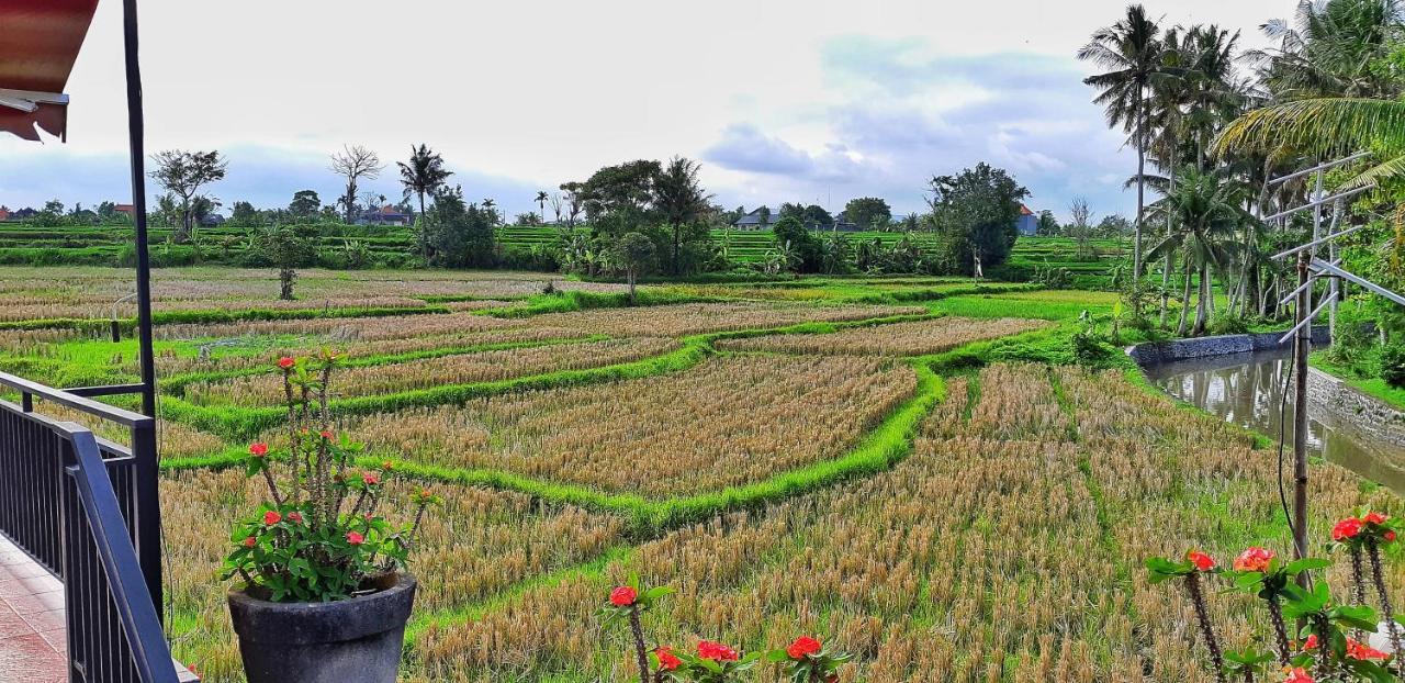 Villa Taman Sari 苏卡瓦提 外观 照片